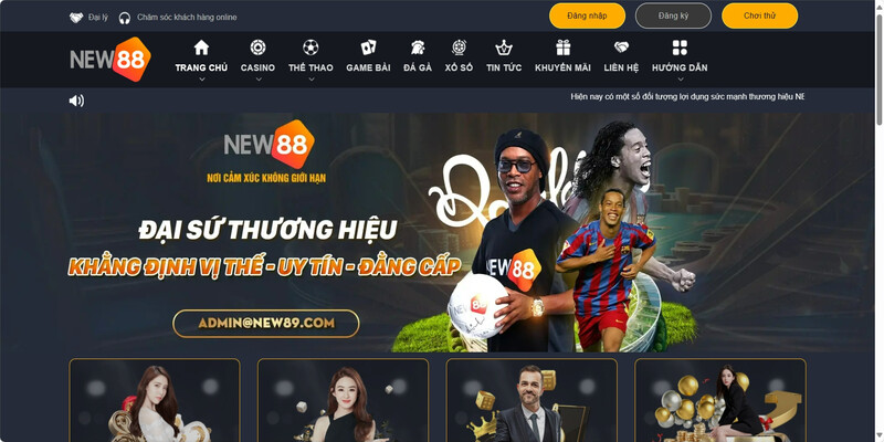 Sức cuốn hút từ New88