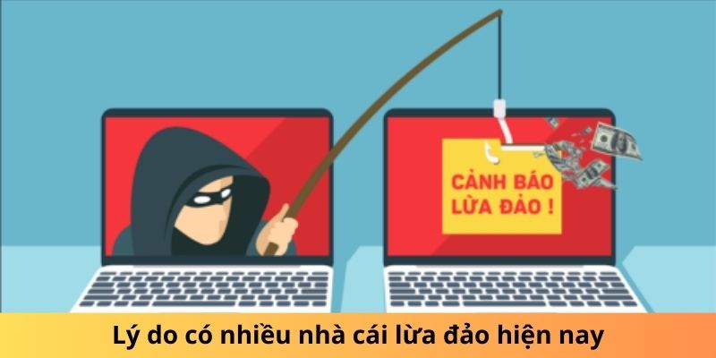 Lý do có nhiều nhà cái lừa đảo hiện nay