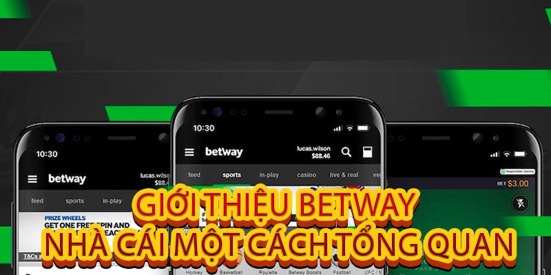 Thông tin giới thiệu chi tiết về BETWAY