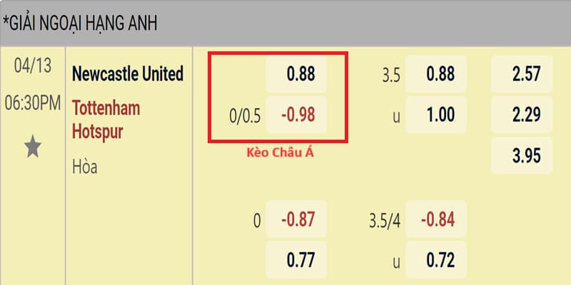 Ví dụ về kèo bóng châu Á trong trận Newcastle vs Tottenham