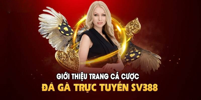 SV388 là đơn vị giải trí online nổi trội trên thị trường 2024