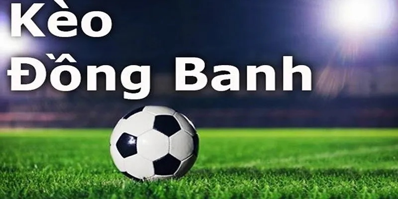 Giải thích cơ bản về kèo cược đồng banh