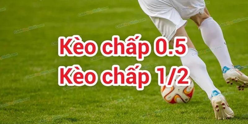 Bí quyết kèo chấp 1/2 từ chuyên gia giúp bạn chiến thắng